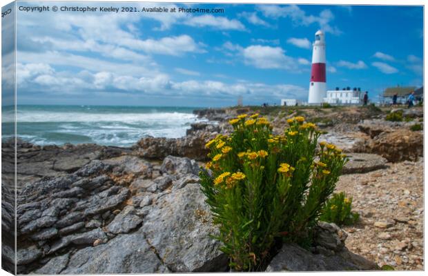 Portland Bill and flowers Canvas Print by Christopher Keeley