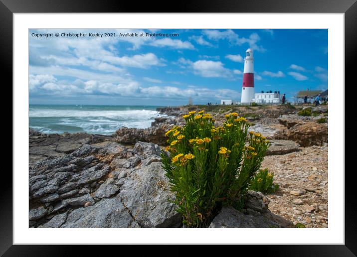 Portland Bill and flowers Framed Mounted Print by Christopher Keeley