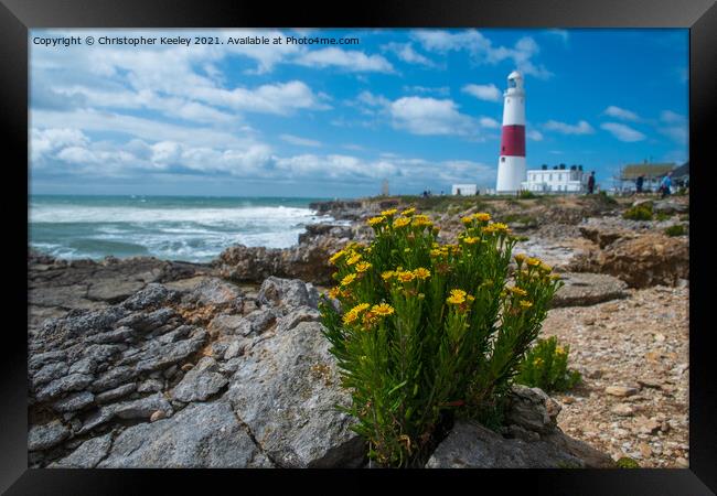 Portland Bill and flowers Framed Print by Christopher Keeley