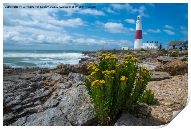 Portland Bill and flowers Print by Christopher Keeley