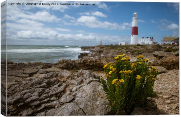 Portland Bill Lighthouse in summer Canvas Print by Christopher Keeley