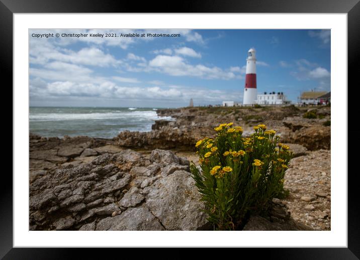 Portland Bill Lighthouse in summer Framed Mounted Print by Christopher Keeley