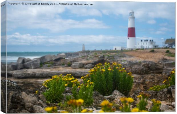Flowers at Portland Bill Lighthouse Canvas Print by Christopher Keeley