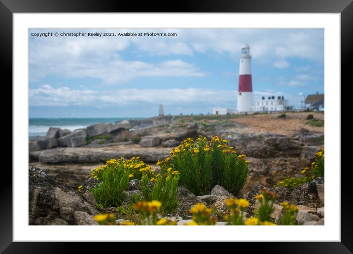 Flowers at Portland Bill Lighthouse Framed Mounted Print by Christopher Keeley