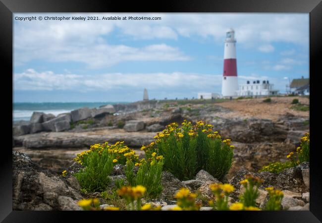 Flowers at Portland Bill Lighthouse Framed Print by Christopher Keeley