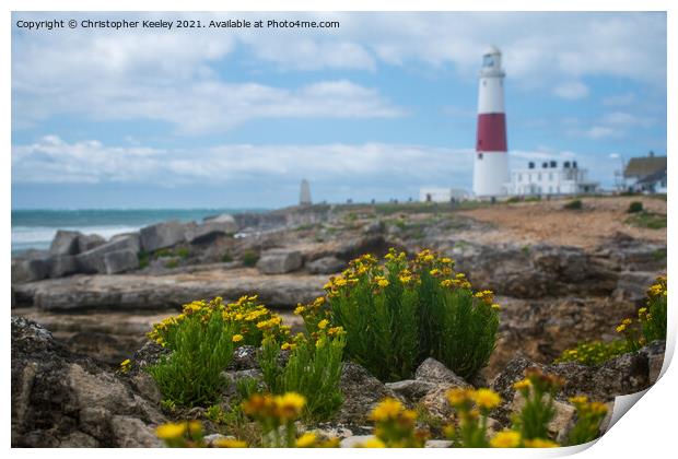 Flowers at Portland Bill Lighthouse Print by Christopher Keeley