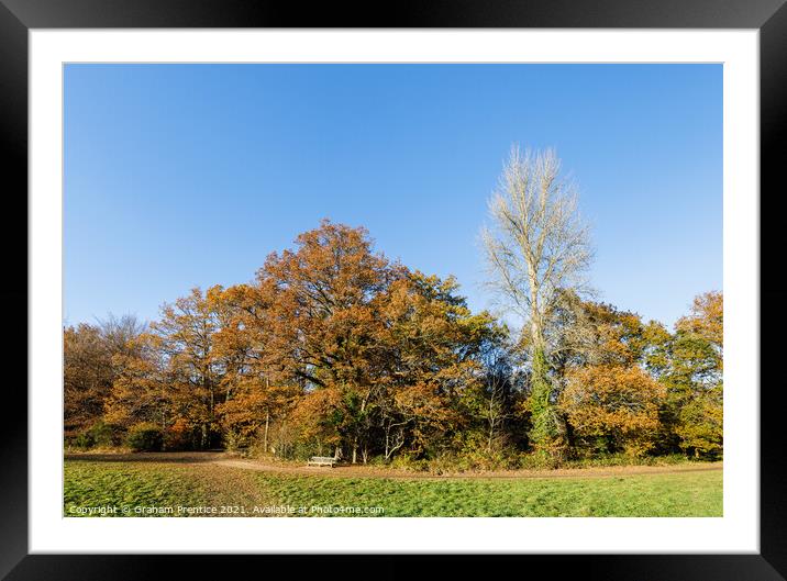 Autumnal Trees on a Sunny Day Framed Mounted Print by Graham Prentice