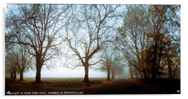 Misty mornings Acrylic by Kevin Elias