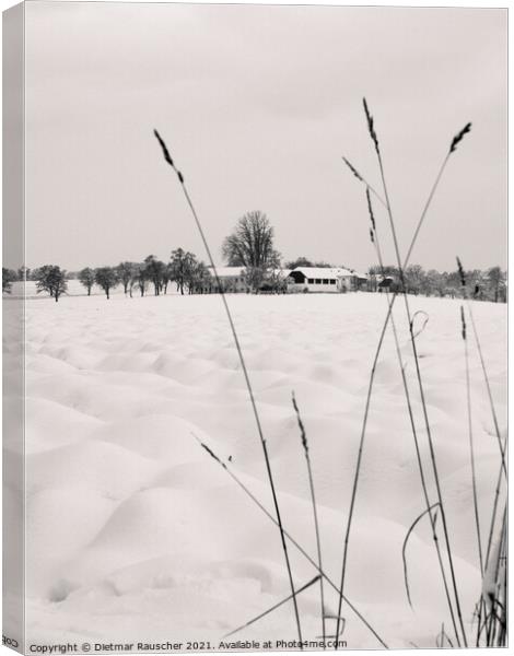 Winter Landscape with Farm in Lower Austria Canvas Print by Dietmar Rauscher