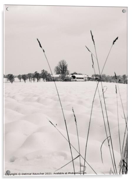 Winter Landscape with Farm in Lower Austria Acrylic by Dietmar Rauscher
