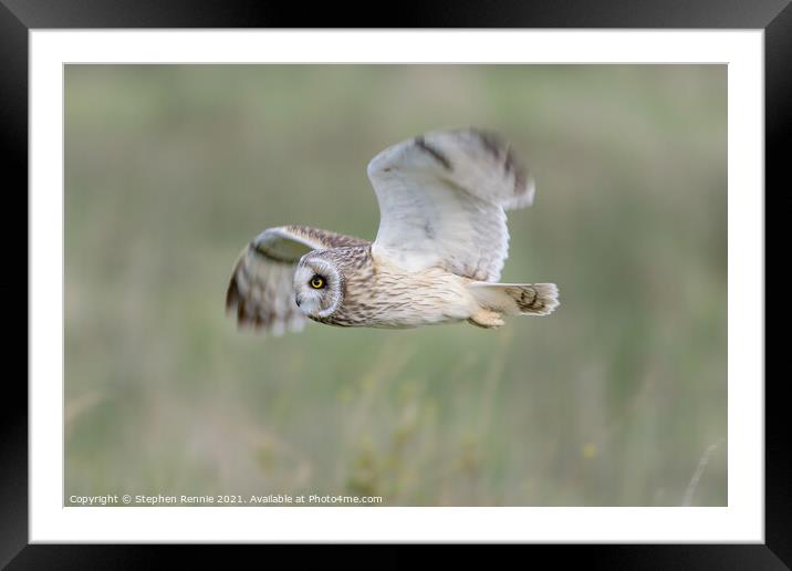 Short-eared owl fly past Framed Mounted Print by Stephen Rennie