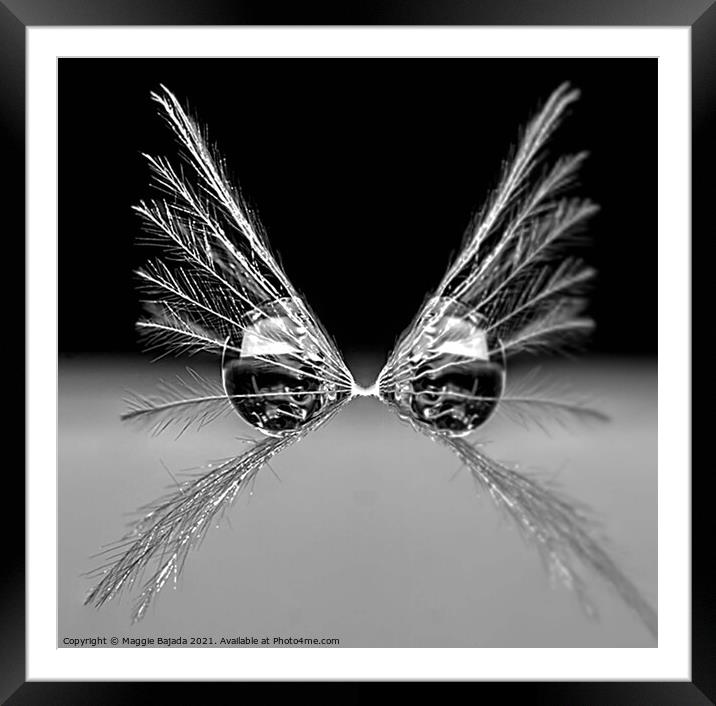 Black and White - Reflection of a Water droplet on Framed Mounted Print by Maggie Bajada