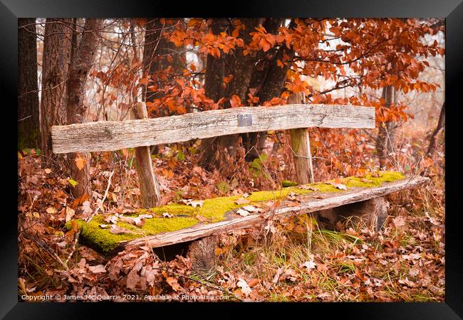 The Bench Framed Print by James Mc Quarrie