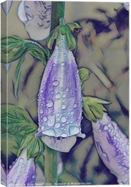 FOXGLOVE Canvas Print by Philip Gough