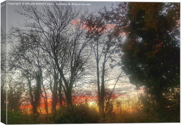 Sunrise through the trees. Canvas Print by HELEN PARKER