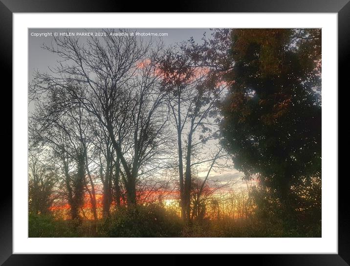 Sunrise through the trees. Framed Mounted Print by HELEN PARKER