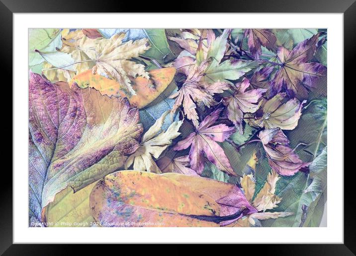 AUTUMN LEAVES Framed Mounted Print by Philip Gough