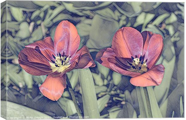 RED TULIPS Canvas Print by Philip Gough