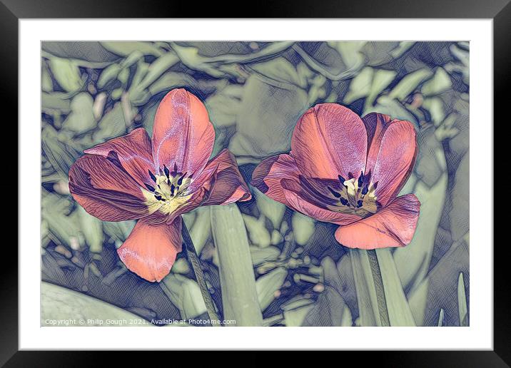 RED TULIPS Framed Mounted Print by Philip Gough