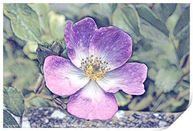 DOG ROSE Print by Philip Gough