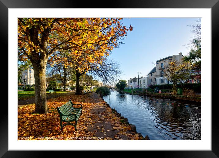 Dawlish Brook in Autumn Framed Mounted Print by Rosie Spooner