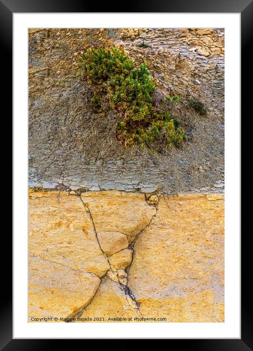 Artistic Rock of Limestone and Earth. Framed Mounted Print by Maggie Bajada