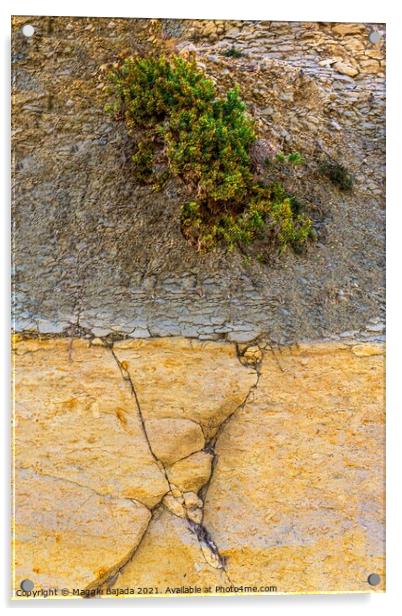 Artistic Rock of Limestone and Earth. Acrylic by Maggie Bajada