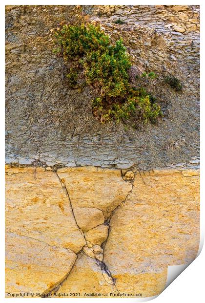 Artistic Rock of Limestone and Earth. Print by Maggie Bajada