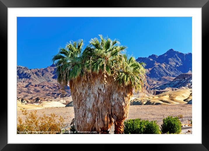 Palm Tree Canyon Desert Death Valley National Park California Framed Mounted Print by William Perry
