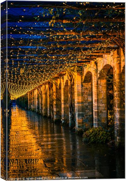 Tunnel of Light | Hever Castle Canvas Print by Adam Cooke