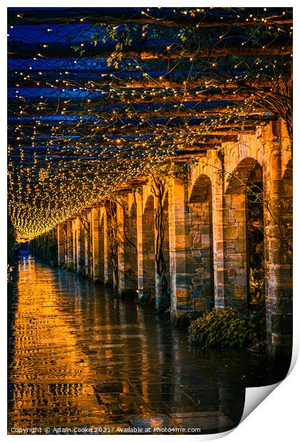 Tunnel of Light | Hever Castle Print by Adam Cooke