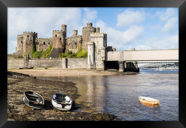 Boats in front of Conwy Castle Framed Print by Jason Wells