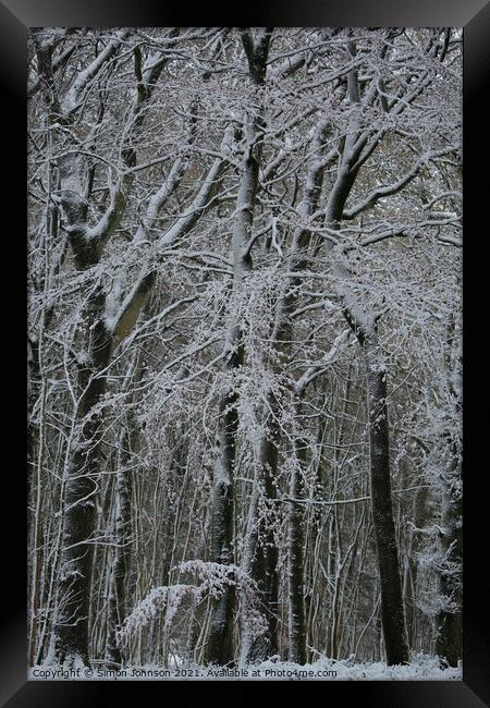Winter woodland architecture  Framed Print by Simon Johnson
