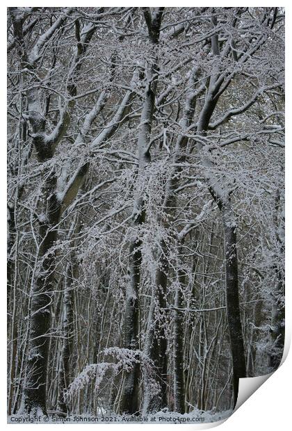 Winter woodland architecture  Print by Simon Johnson