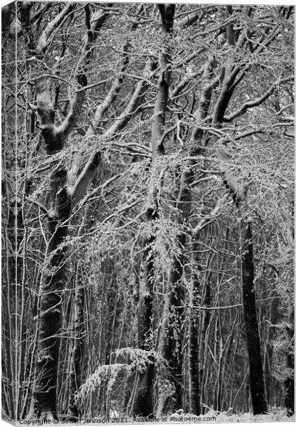  winter woodland architectures Monochrome  Canvas Print by Simon Johnson