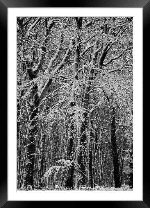  winter woodland architectures Monochrome  Framed Mounted Print by Simon Johnson