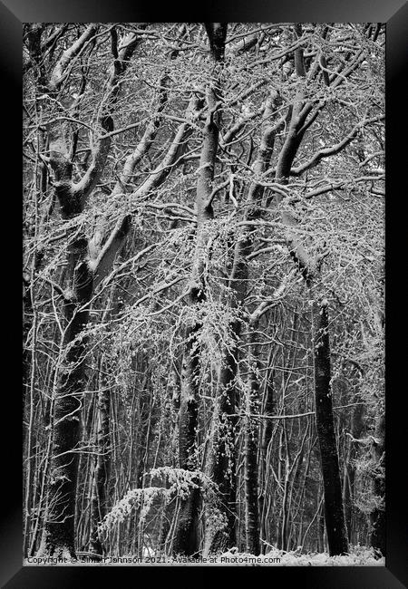  winter woodland architectures Monochrome  Framed Print by Simon Johnson