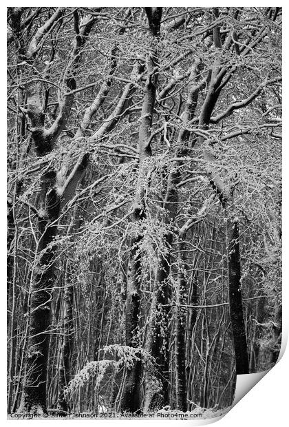  winter woodland architectures Monochrome  Print by Simon Johnson