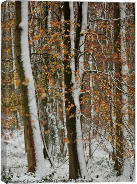 Autumn leaves, winter snow Canvas Print by Simon Johnson