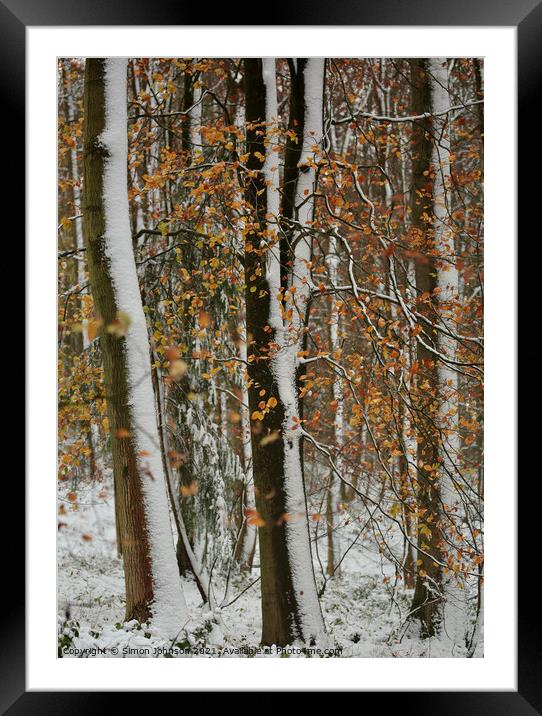 Autumn leaves, winter snow Framed Mounted Print by Simon Johnson