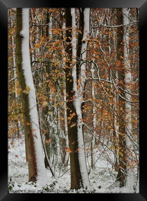 Autumn leaves, winter snow Framed Print by Simon Johnson