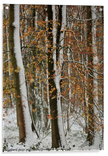 Autumn leaves, winter snow Acrylic by Simon Johnson