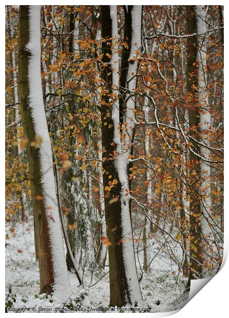 Autumn leaves, winter snow Print by Simon Johnson