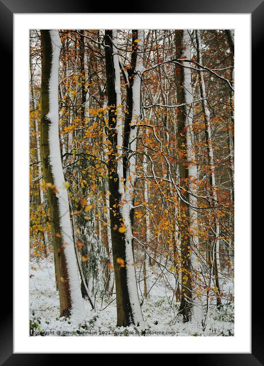 Winter woodland and autumn leaves Framed Mounted Print by Simon Johnson