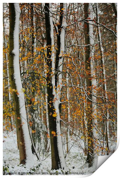 Winter woodland and autumn leaves Print by Simon Johnson