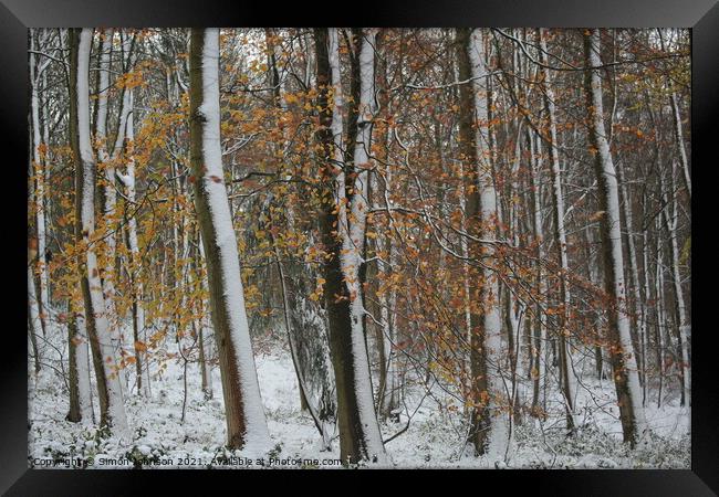 winter woodland Framed Print by Simon Johnson