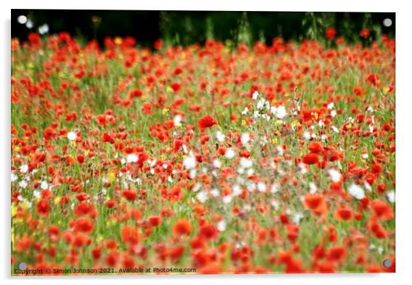 Poppy Field Acrylic by Simon Johnson