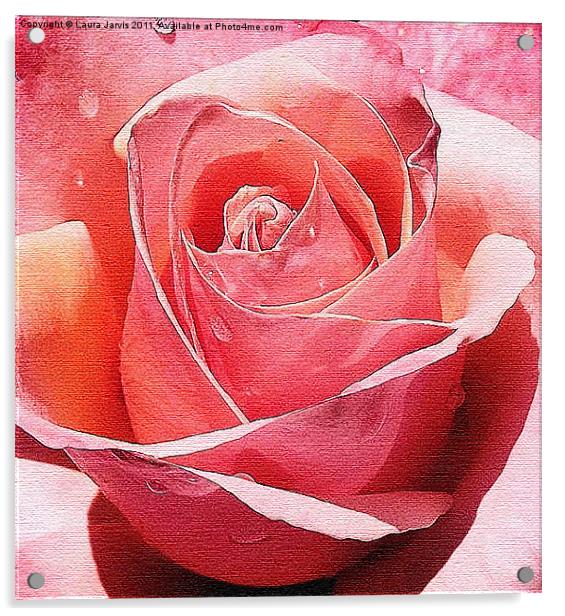 Raindrop Rose Acrylic by Laura Jarvis