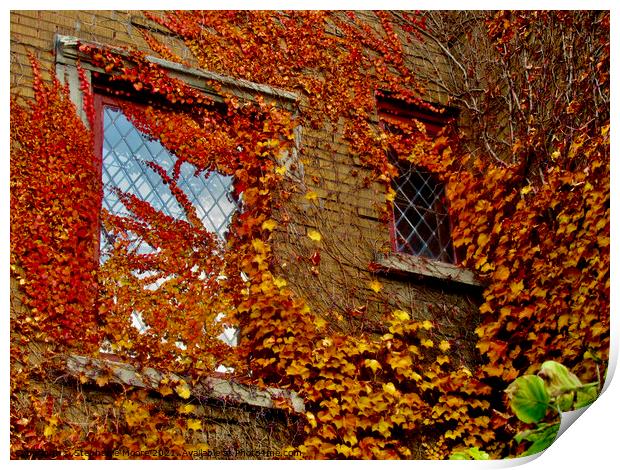 Leaves and windows Print by Stephanie Moore
