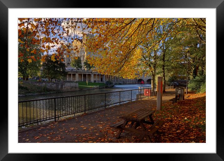 under the golden trees in Bath Framed Mounted Print by Duncan Savidge